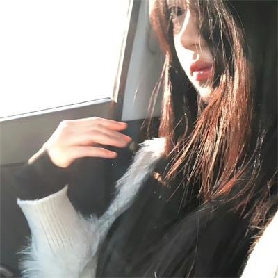 鲨海封面